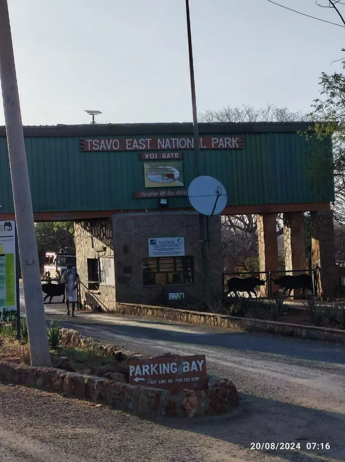Parchi nazionali dello Tsavo (Tsavo Est e Tsavo Ovest)nazionale kenya