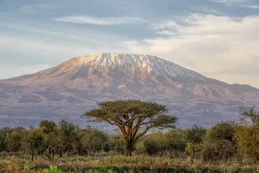 4 giorni di safari