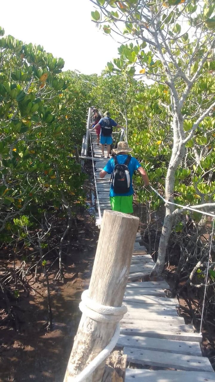 Escursione alle mangrovie e giro in canoa