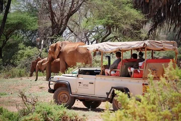Riserva nazionale di Samburu